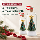 Christmas in Your Voice™ — Recordable Message in a Bottle