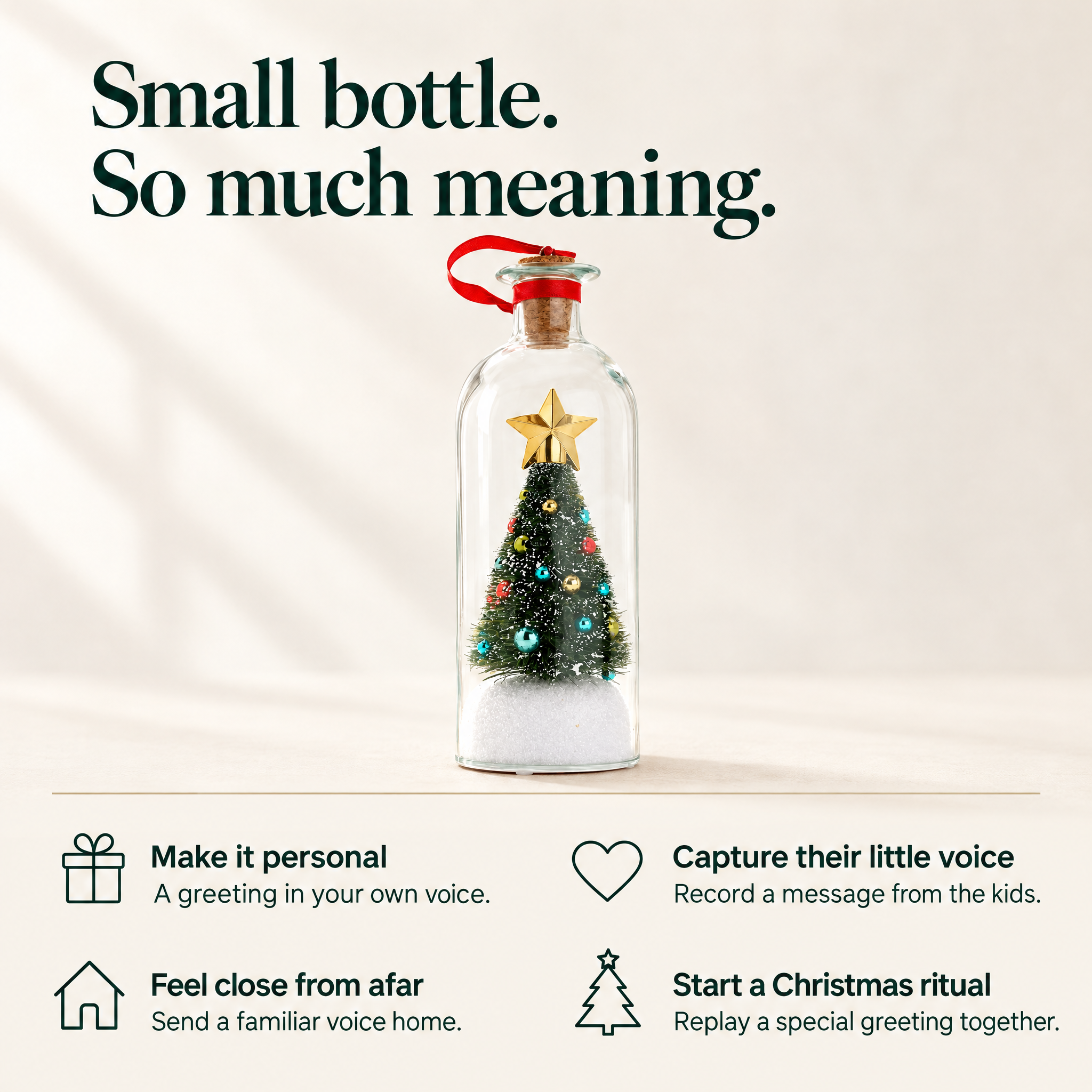 Christmas in Your Voice™ — Recordable Message in a Bottle